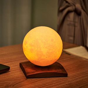 Gingko - Smart LunaSpin Lamp - Mini Size