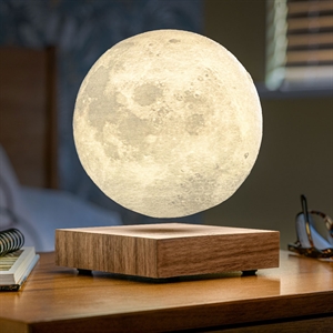 Gingko - Smart Moon Lamp Walnut