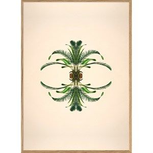The Dybdahl - Plakat 50x70 cm. - Botanical reflection 8801 - Papir