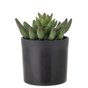 Bloomingville - Echeveria Kunstig Plante - Grøn, Plastik