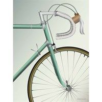 VISSEVASSE - Racing Bicycle - 50x70 cm